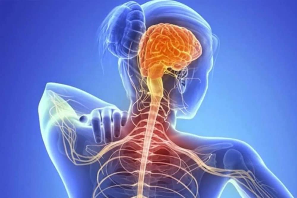 Esclerosis lateral amiotrófica: ¿Qué es y cómo se trata?